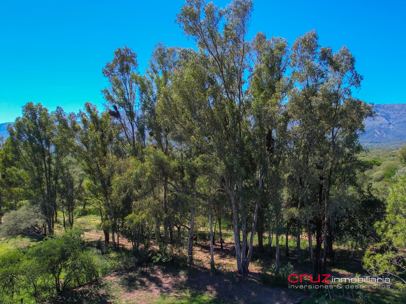 Campo de 29 Hectáreas en Villa de Merlo - imagen 13