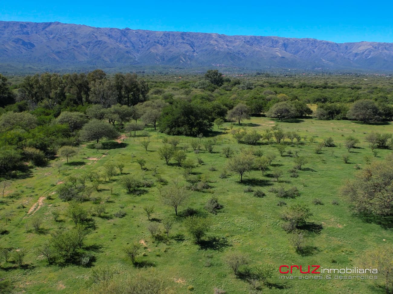 Campo de 29 Hectáreas en Villa de Merlo - imagen 12