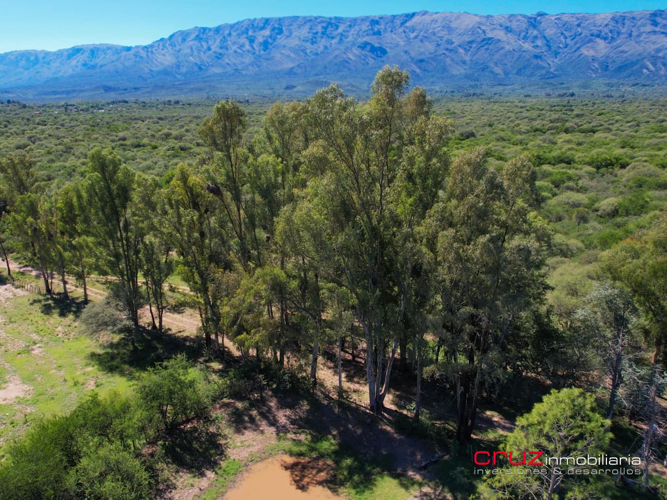 Campo de 29 Hectáreas en Villa de Merlo - imagen 4