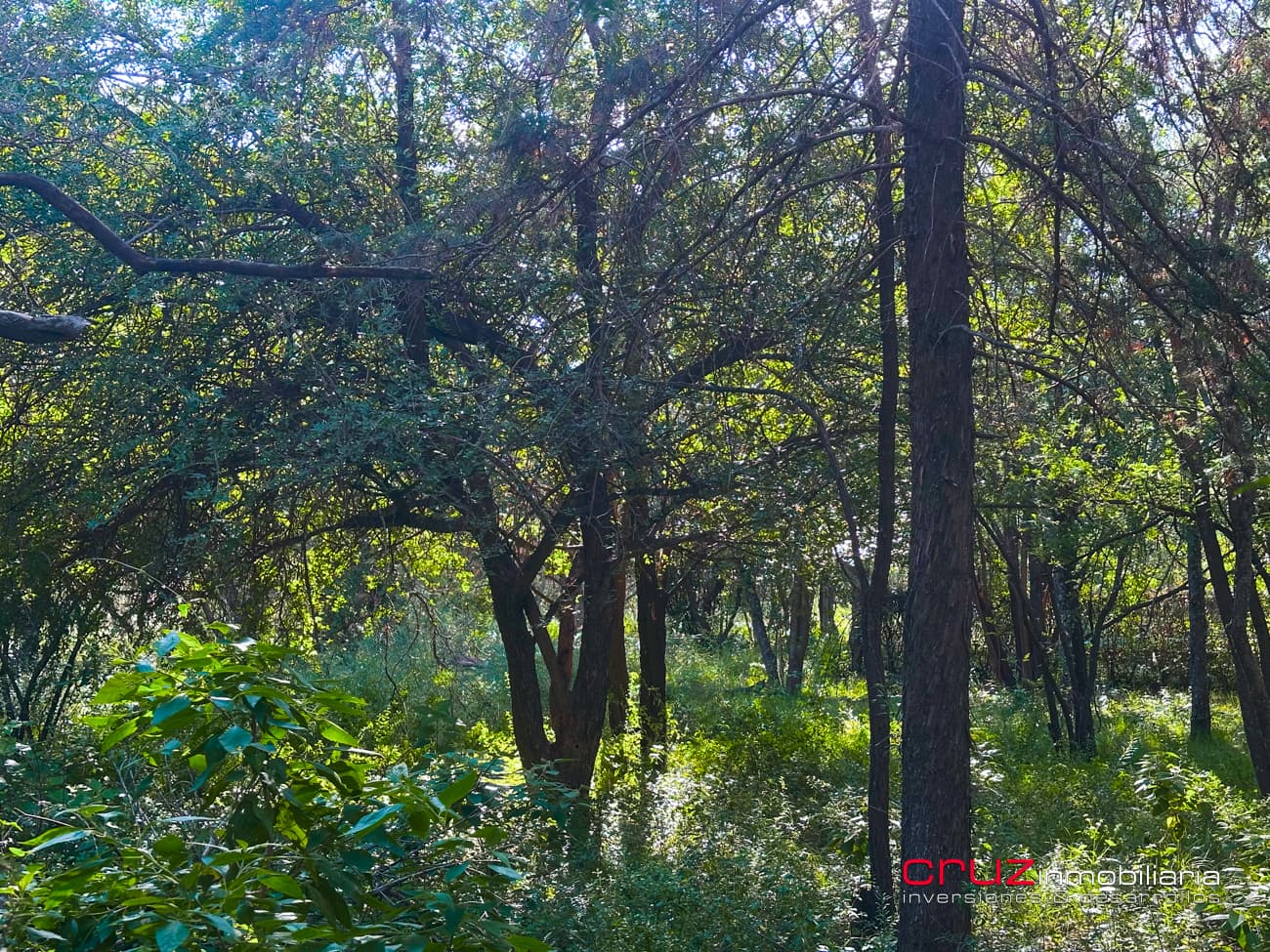 Lote de 6976m2 en Cerro de Oro - Merlo - imagen 6