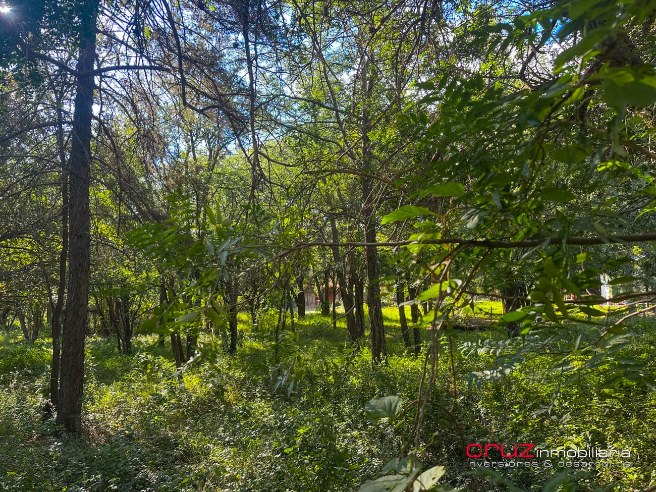 Lote de 6976m2 en Cerro de Oro - Merlo - imagen 3