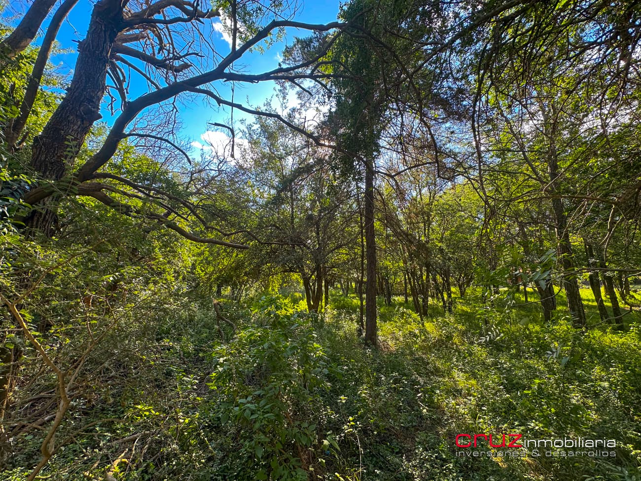 Lote de 6976m2 en Cerro de Oro - Merlo - imagen 7