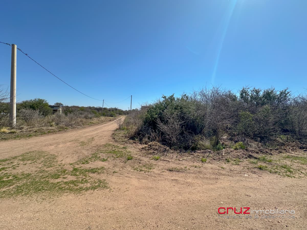 Lote de 1005m2 en Cortaderas - imagen 6