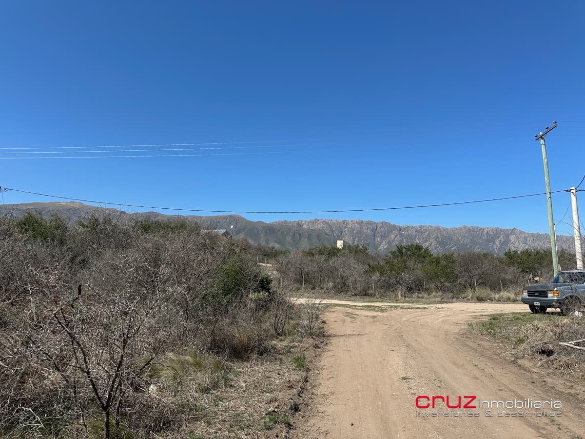 Lote de 1005m2 en Cortaderas - imagen 7