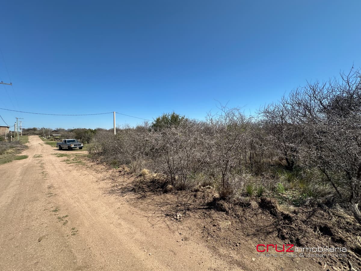 Lote de 1005m2 en Cortaderas - imagen 5