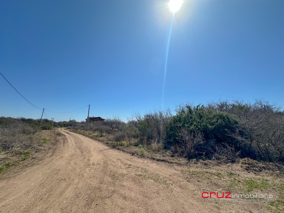 Lote de 1005m2 en Cortaderas - imagen 3