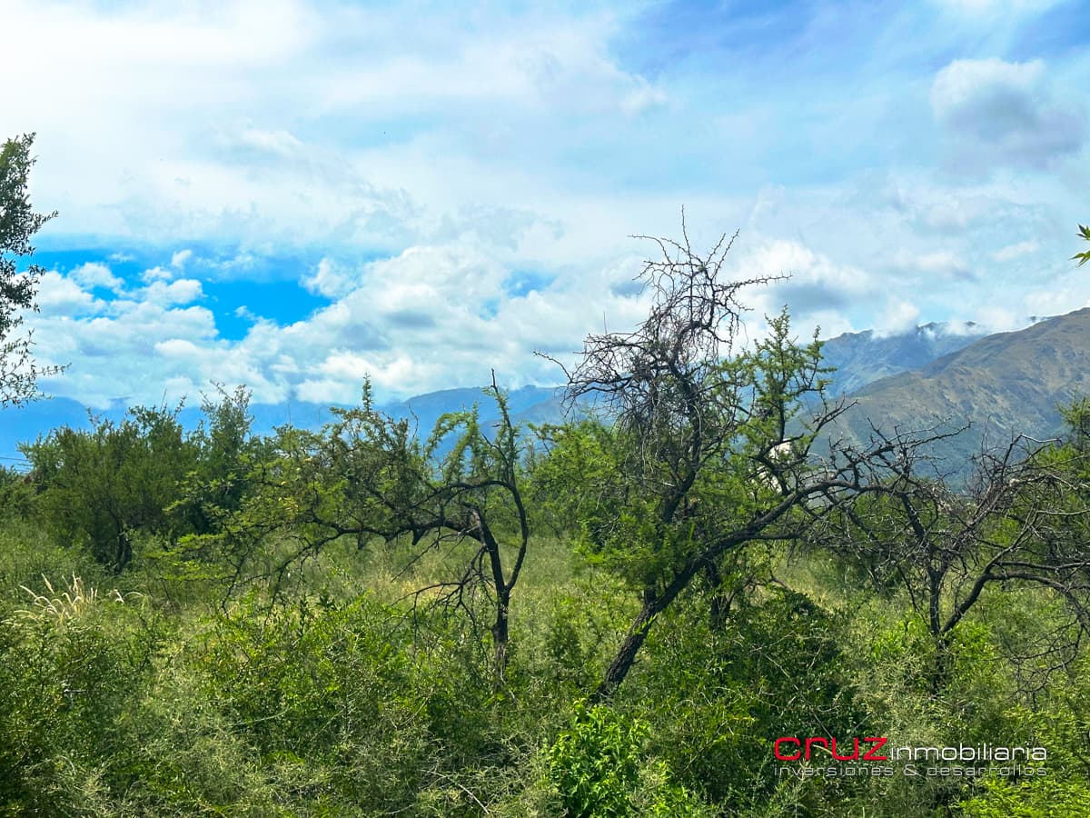 2 Lotes de 2.203m2 Camino al Talar de Los Molles