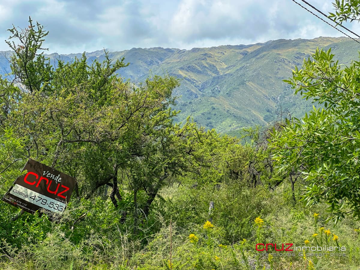 2 Lotes de 2.203m2 Camino al Talar de Los Molles - imagen 4