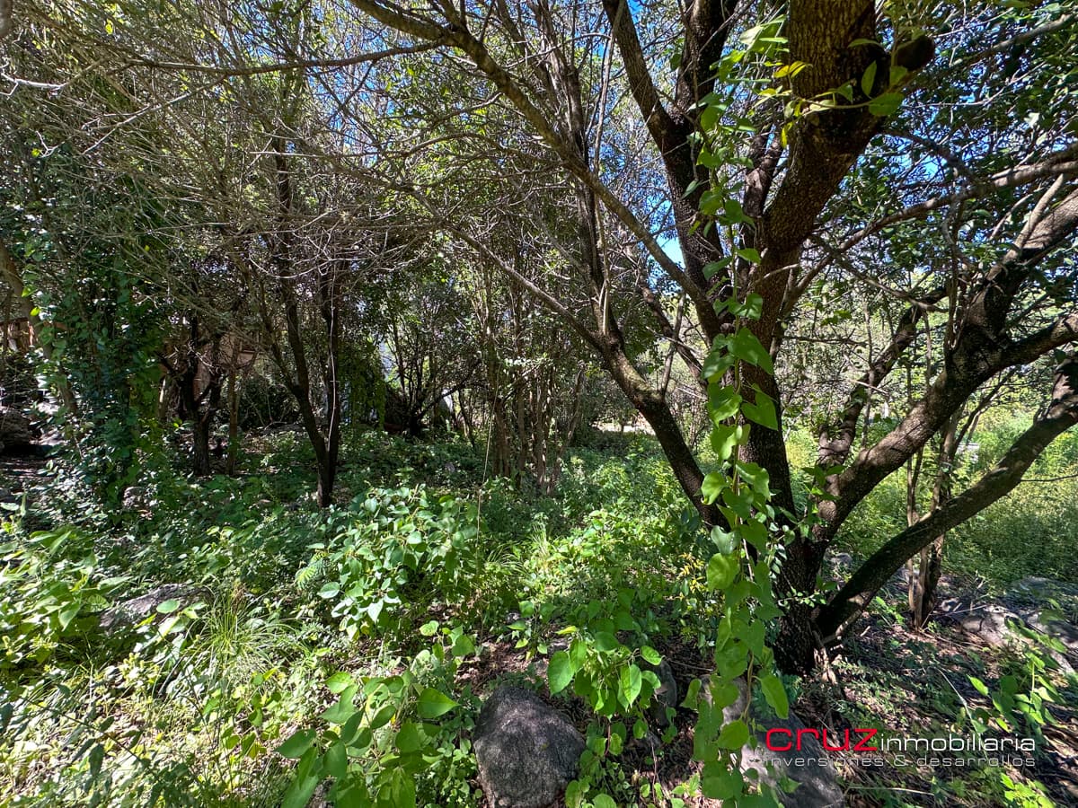 Lote de 1000m2 en Pantanillo, Villa de Merlo - imagen 19