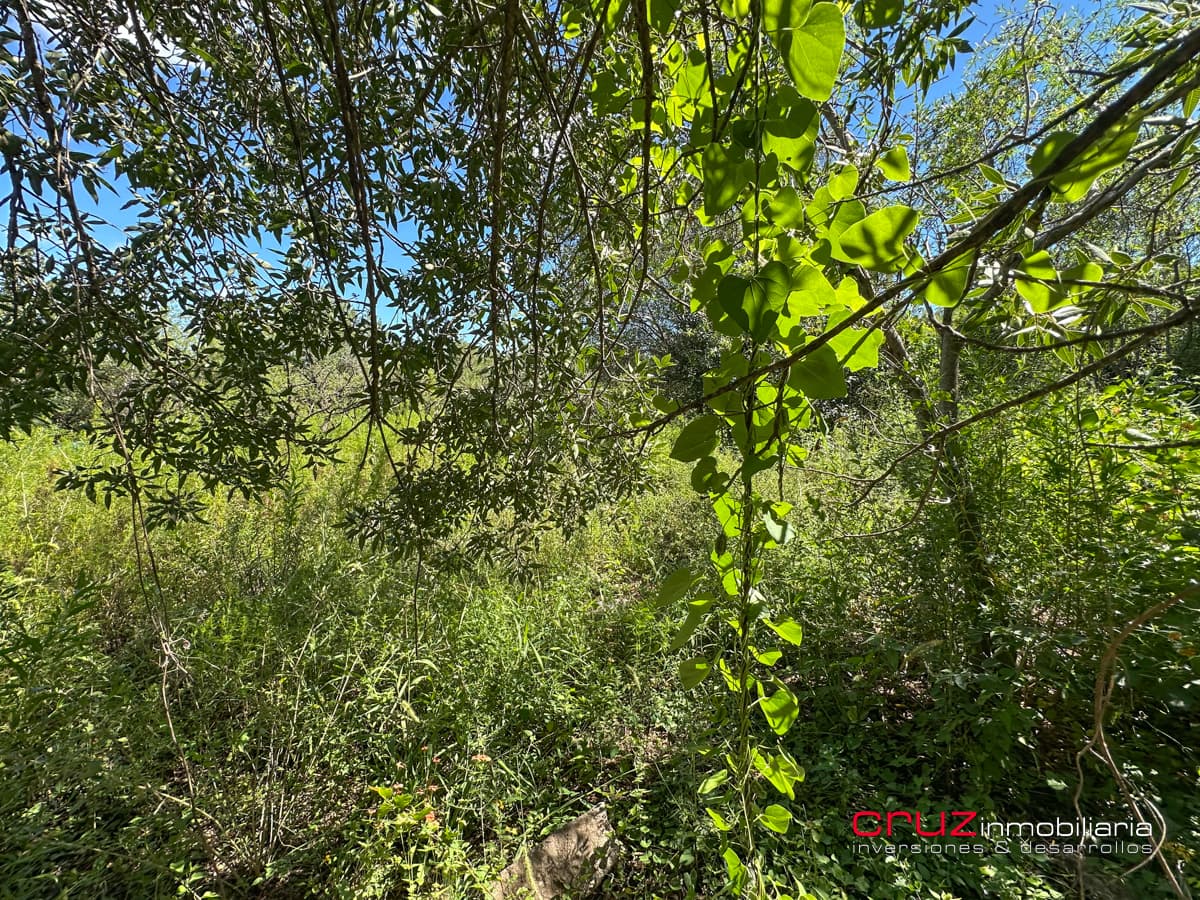 Lote de 1000m2 en Pantanillo, Villa de Merlo - imagen 17