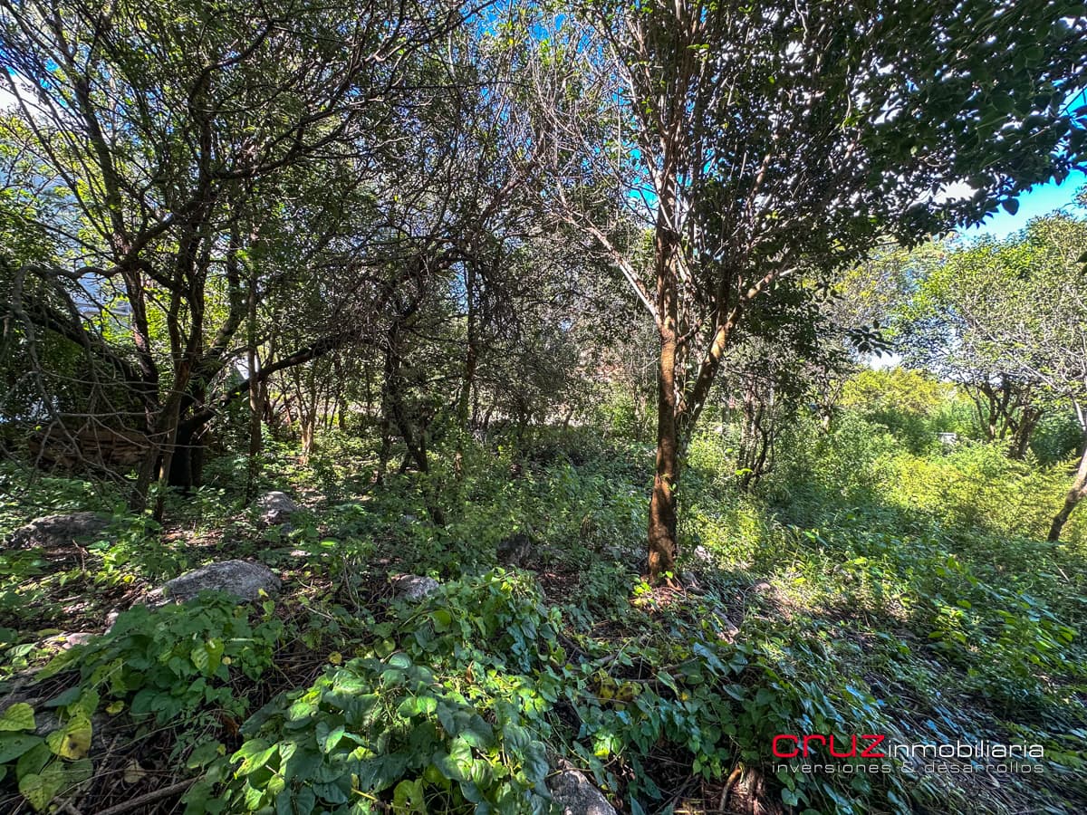 Lote de 1000m2 en Pantanillo, Villa de Merlo - imagen 13