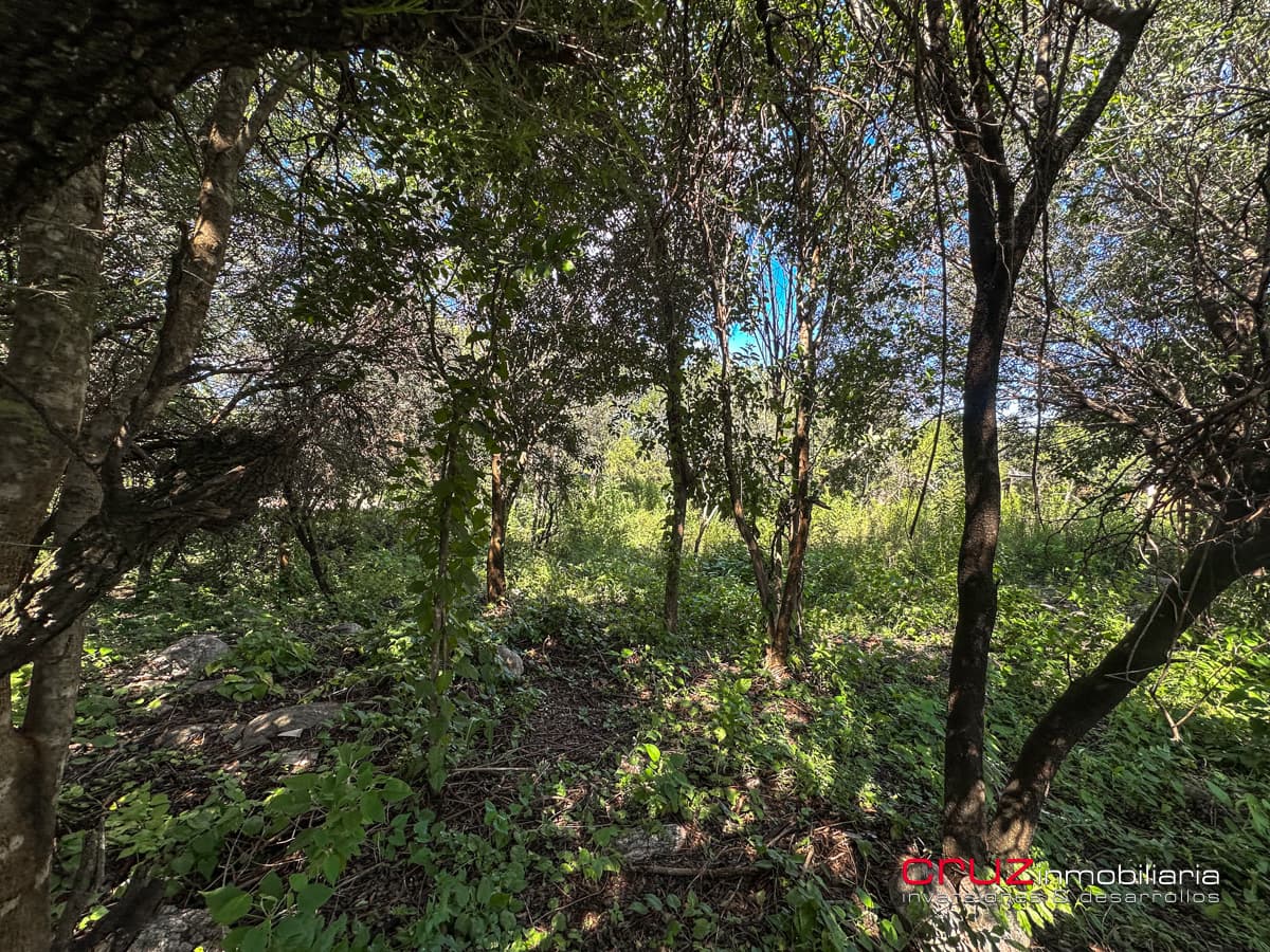 Lote de 1000m2 en Pantanillo, Villa de Merlo - imagen 10