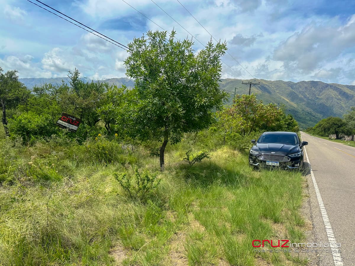 2 Lotes de 2.203m2 Camino al Talar de Los Molles - imagen 8