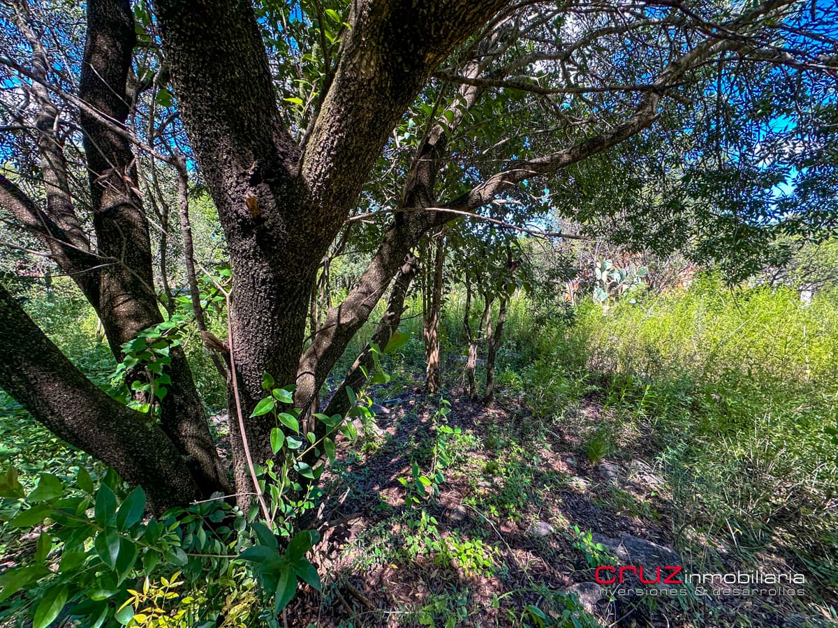 Lote de 1000m2 en Pantanillo, Villa de Merlo - imagen 23