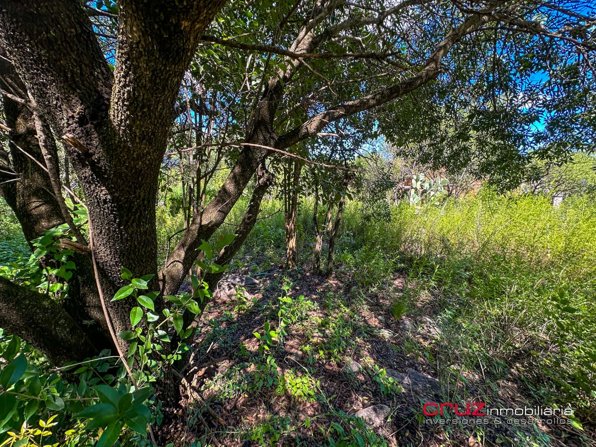 Lote de 1000m2 en Pantanillo, Villa de Merlo - imagen 21