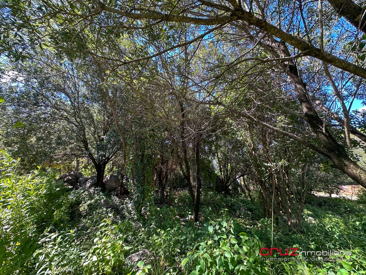 Lote de 1000m2 en Pantanillo, Villa de Merlo - imagen 20