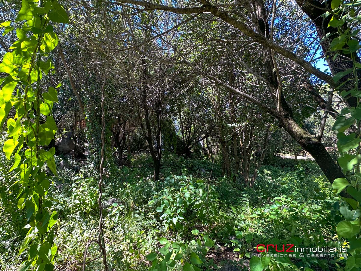 Lote de 1000m2 en Pantanillo, Villa de Merlo - imagen 18