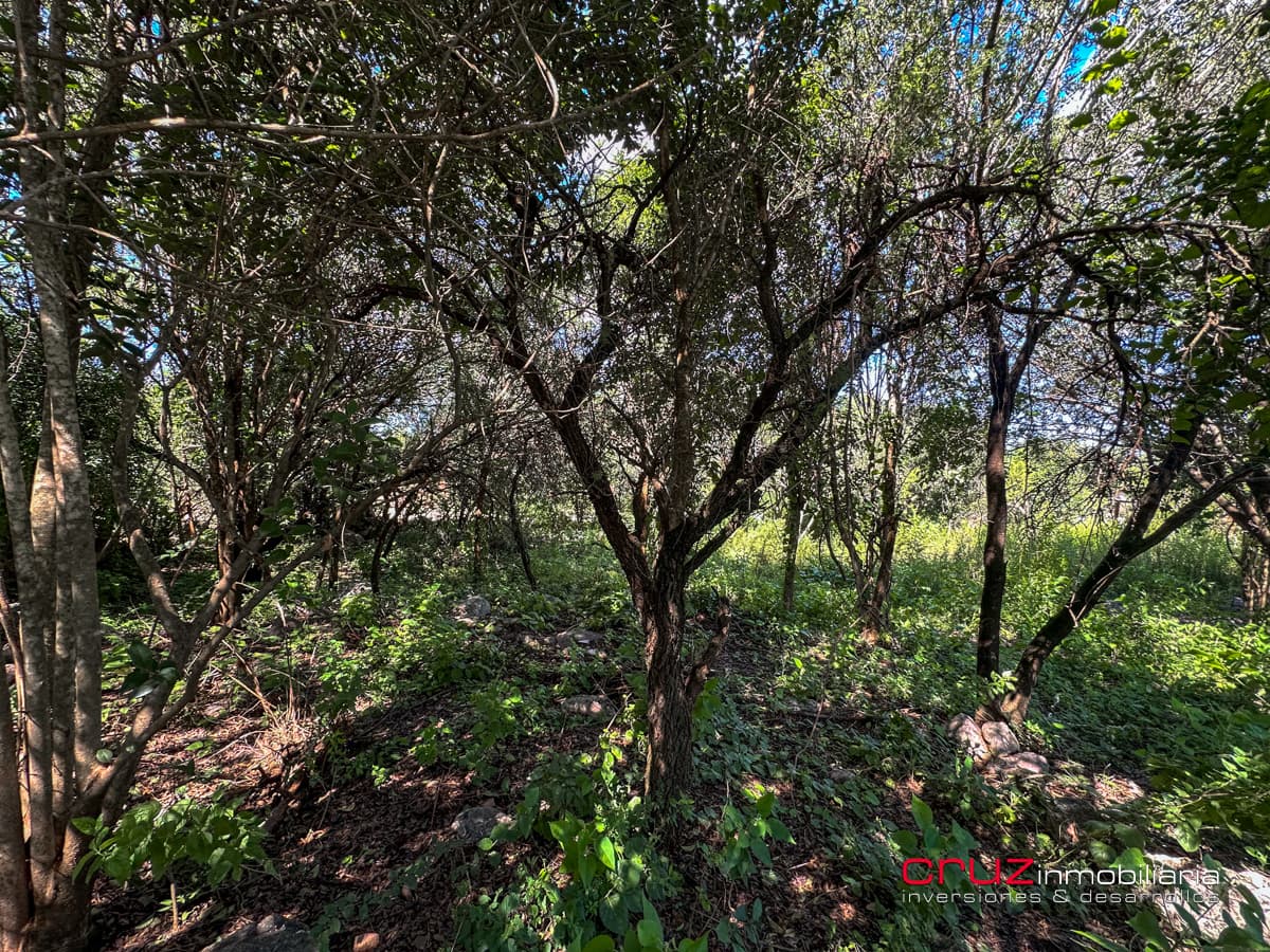 Lote de 1000m2 en Pantanillo, Villa de Merlo - imagen 4