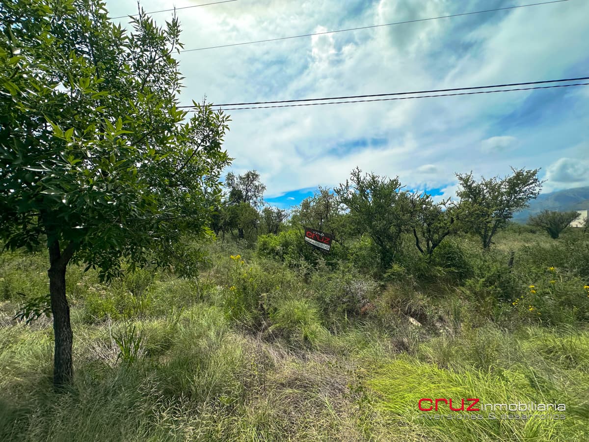 2 Lotes de 2.203m2 Camino al Talar de Los Molles - imagen 5