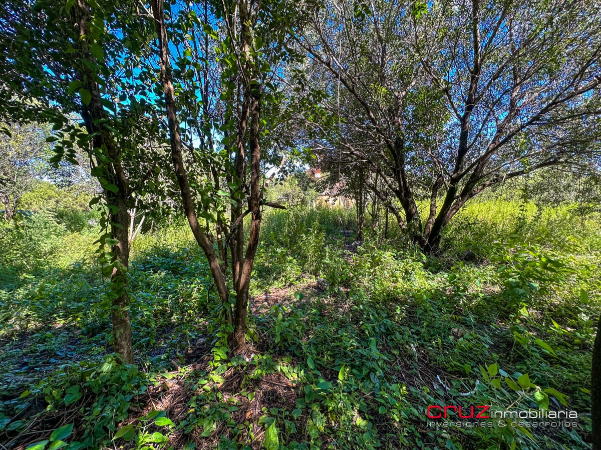Lote de 1000m2 en Pantanillo, Villa de Merlo - imagen 3