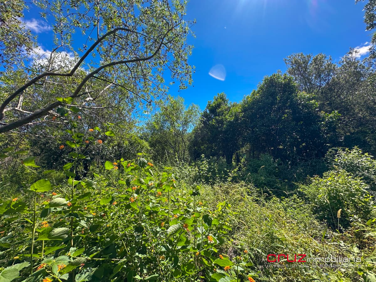 Lote de 1000m2 en Pantanillo, Villa de Merlo - imagen 5