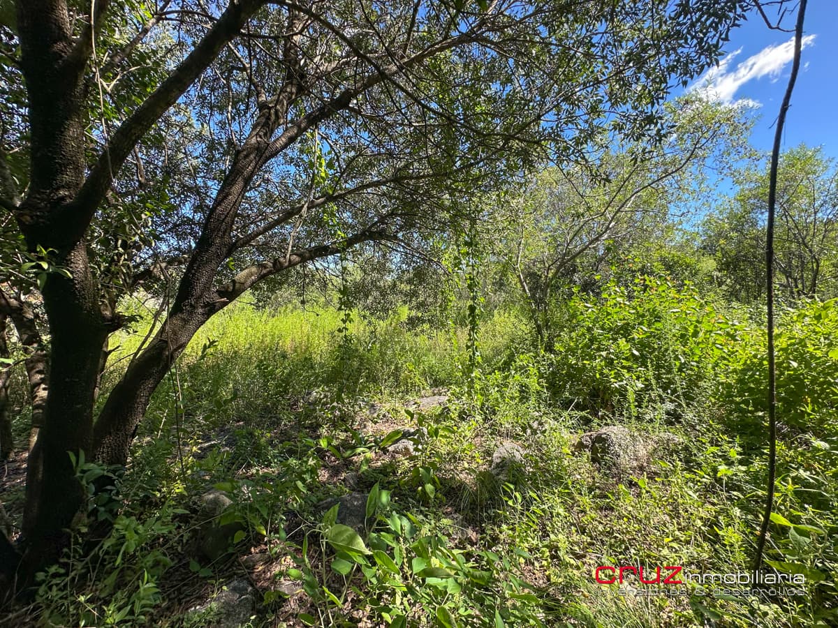 Lote de 1000m2 en Pantanillo, Villa de Merlo - imagen 15
