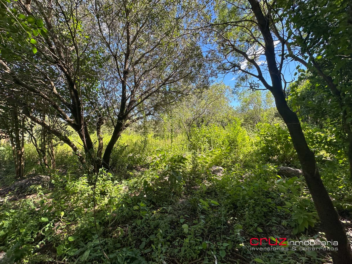 Lote de 1000m2 en Pantanillo, Villa de Merlo - imagen 14