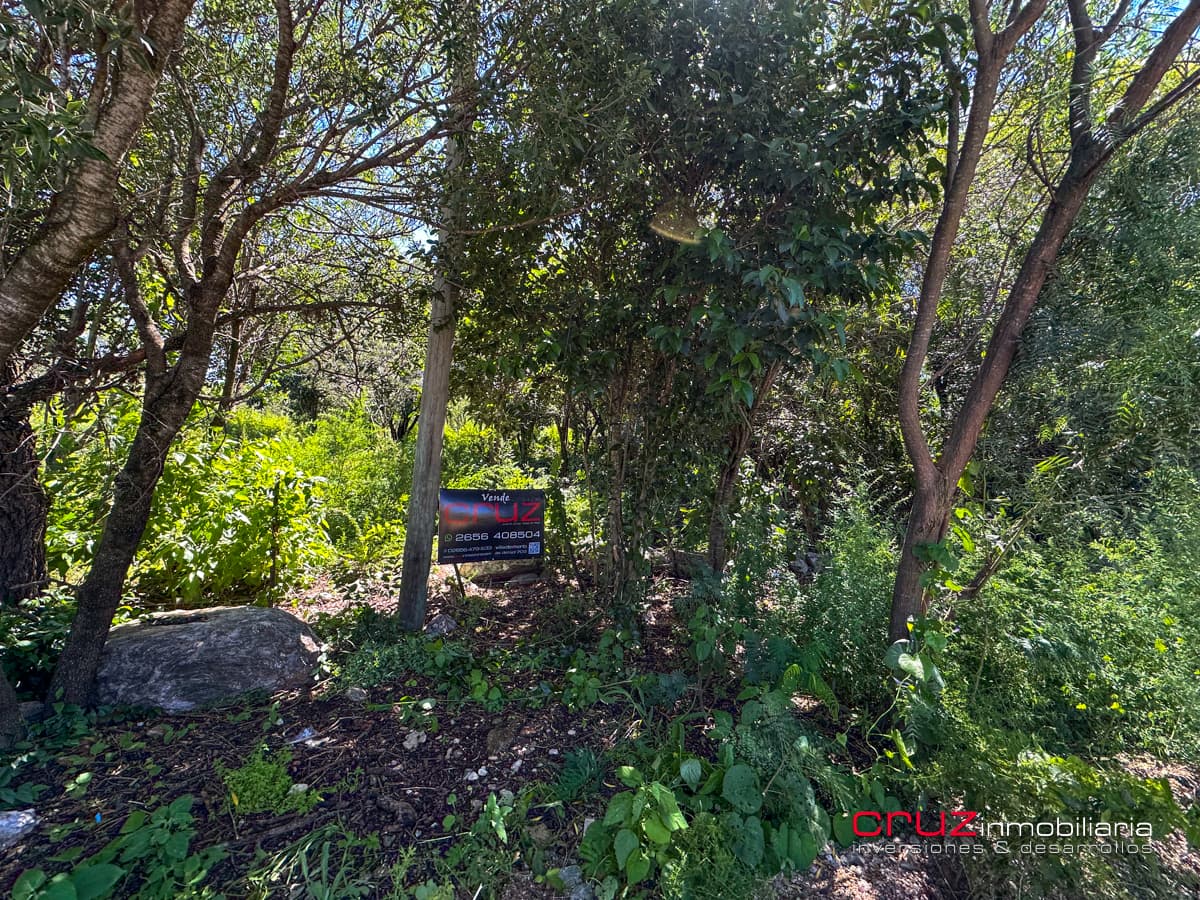 Lote de 1000m2 en Pantanillo, Villa de Merlo - imagen 28