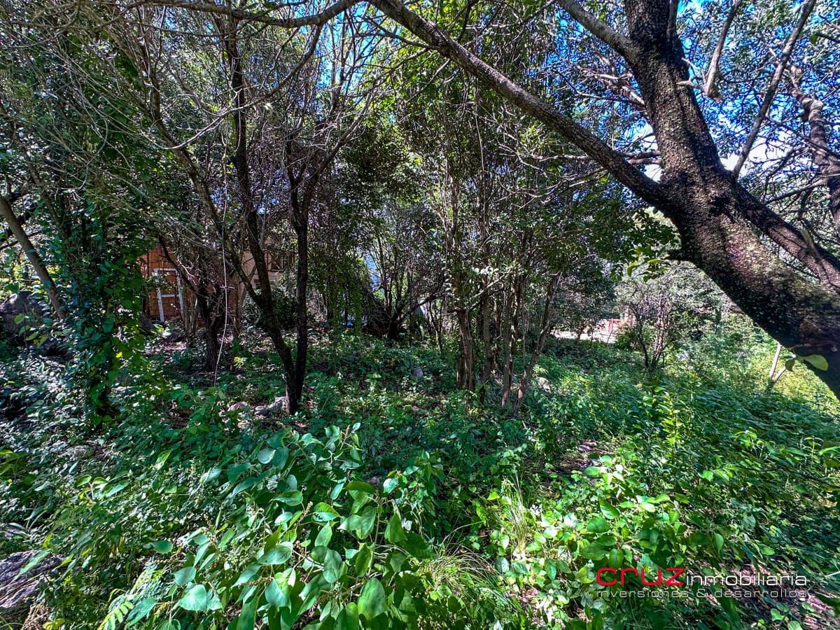 Lote de 1000m2 en Pantanillo, Villa de Merlo - imagen 22