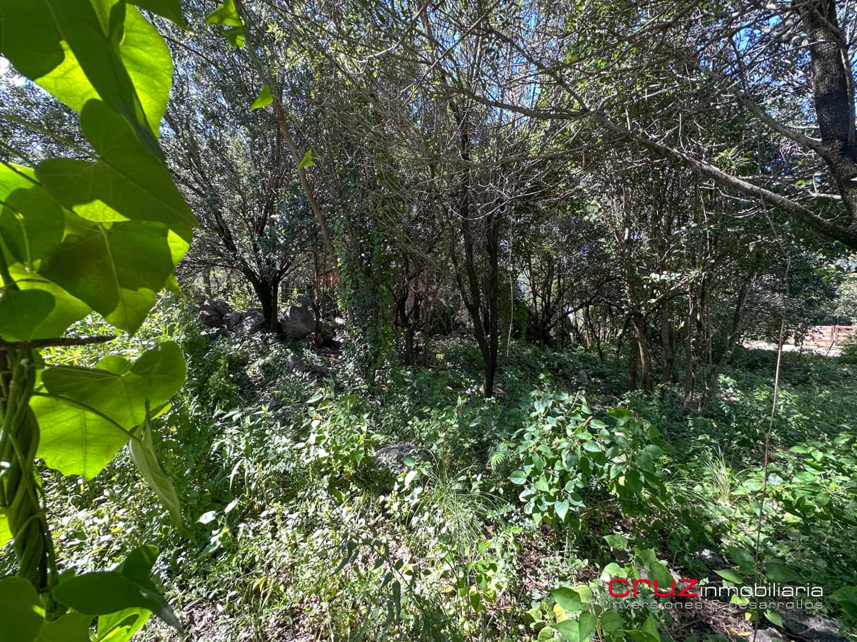 Lote de 1000m2 en Pantanillo, Villa de Merlo - imagen 16