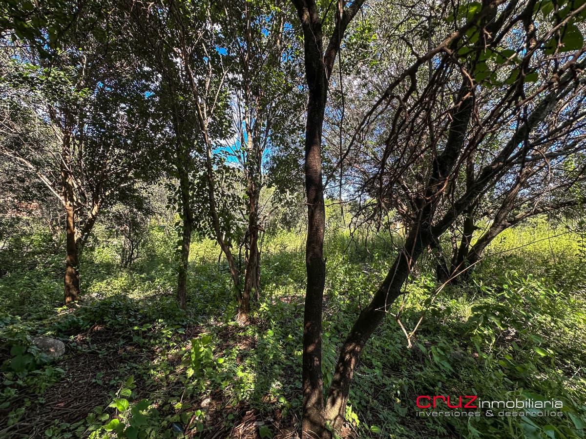 Lote de 1000m2 en Pantanillo, Villa de Merlo - imagen 11