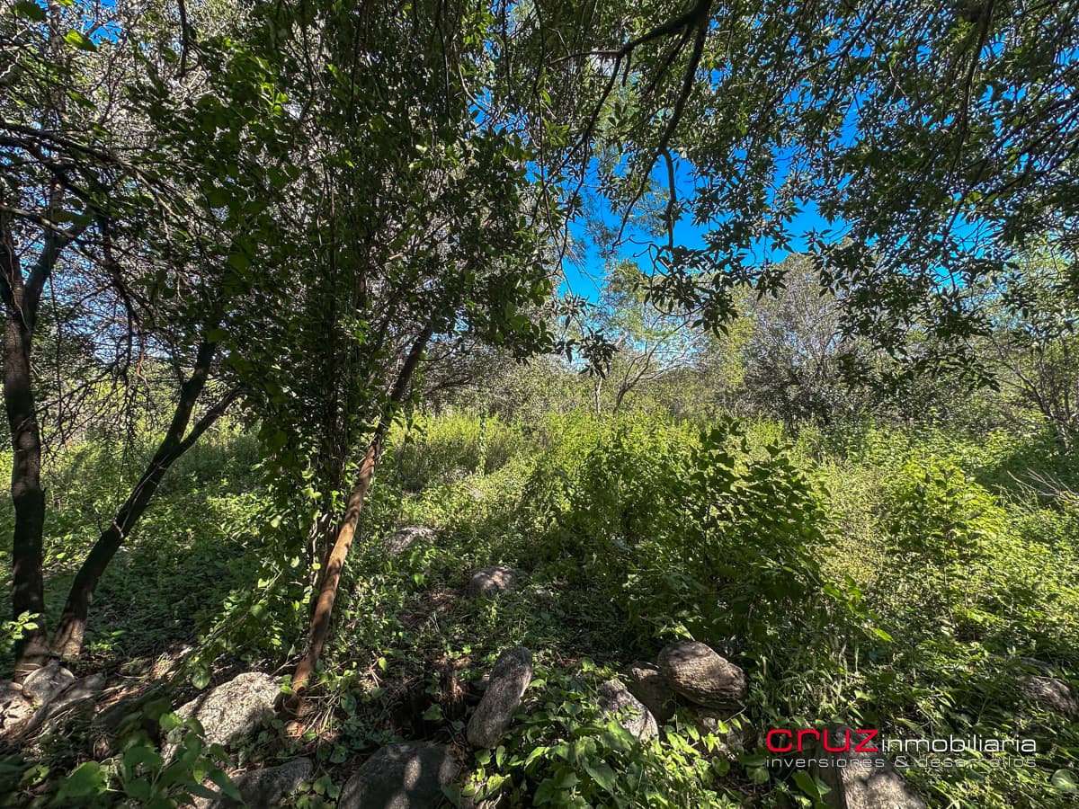 Lote de 1000m2 en Pantanillo, Villa de Merlo - imagen 9