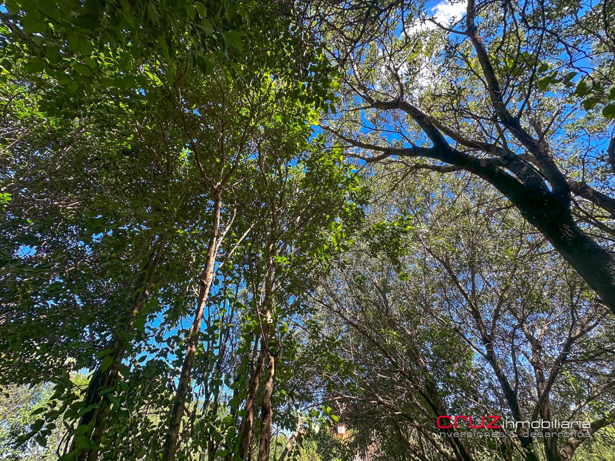 Lote de 1000m2 en Pantanillo, Villa de Merlo - imagen 26