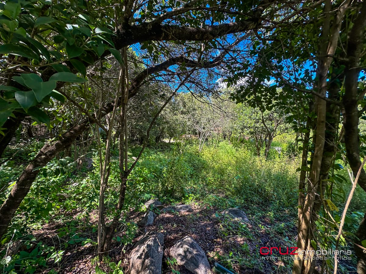 Lote de 1000m2 en Pantanillo, Villa de Merlo - imagen 24