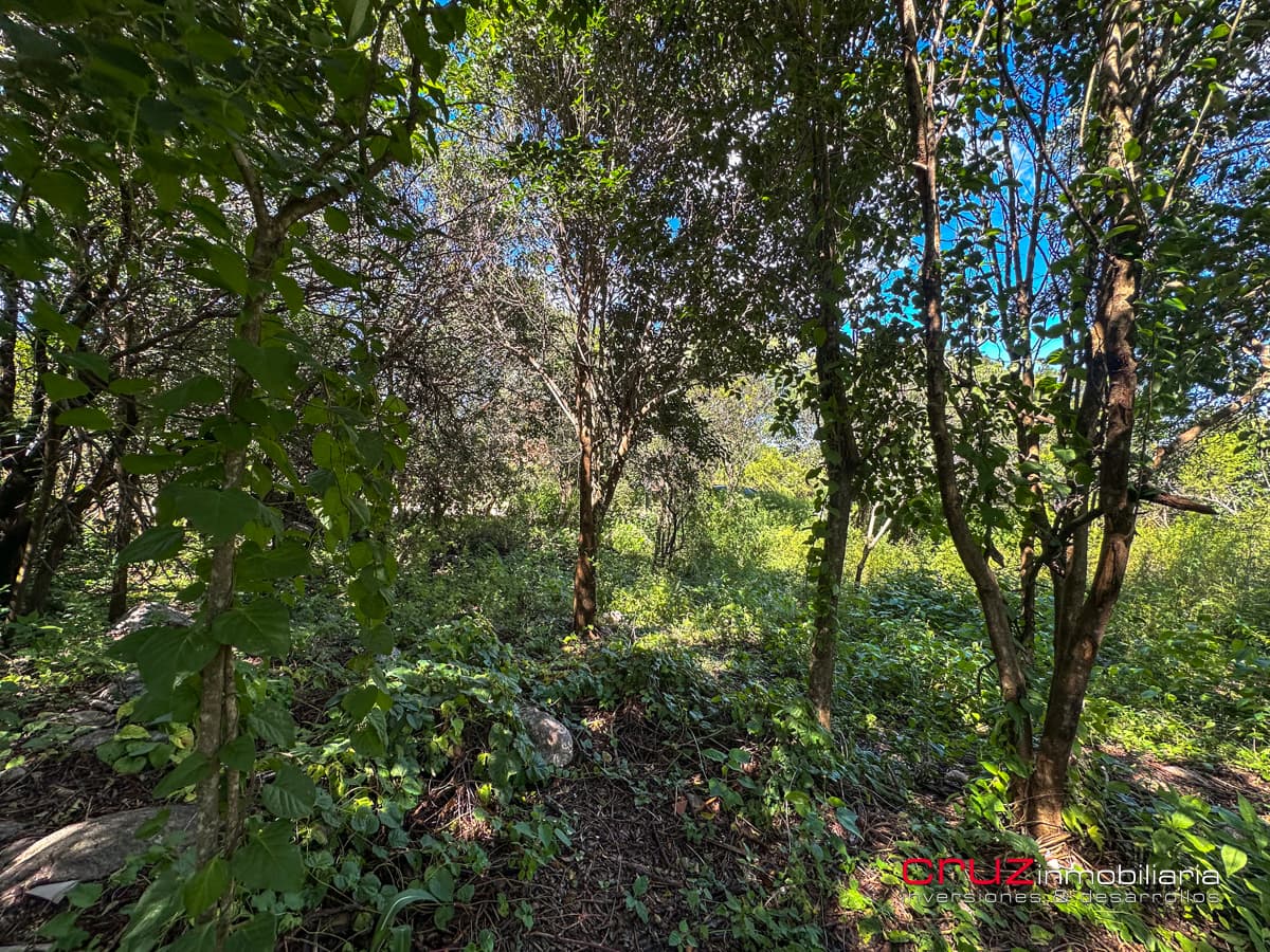 Lote de 1000m2 en Pantanillo, Villa de Merlo - imagen 12