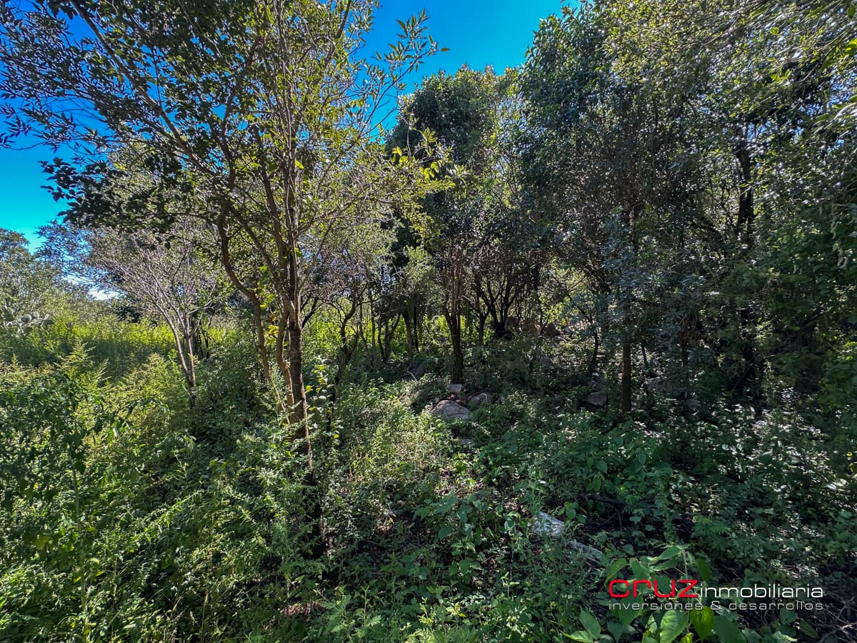 Lote de 1000m2 en Pantanillo, Villa de Merlo - imagen 6