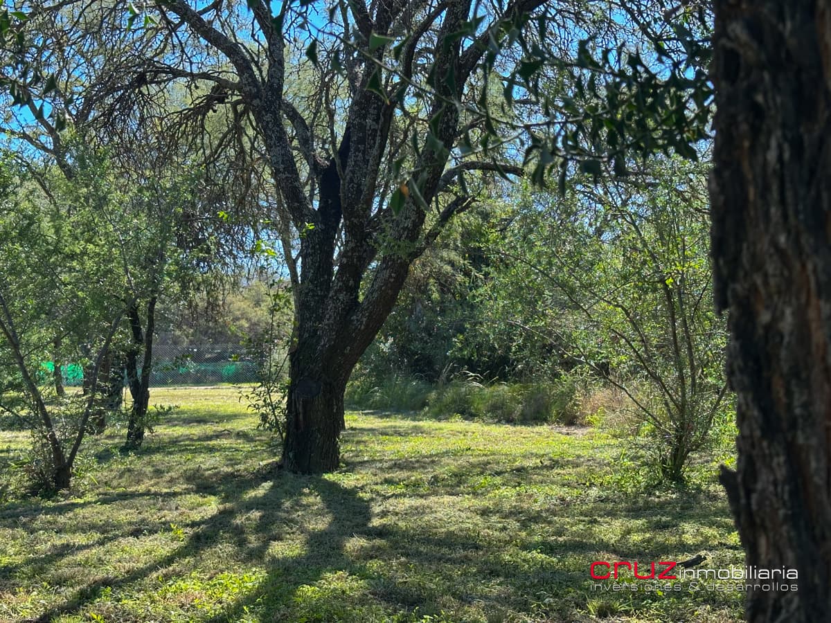 Lote de 1376m2 en Despertar del Valle, Villa de Merlo - imagen 24