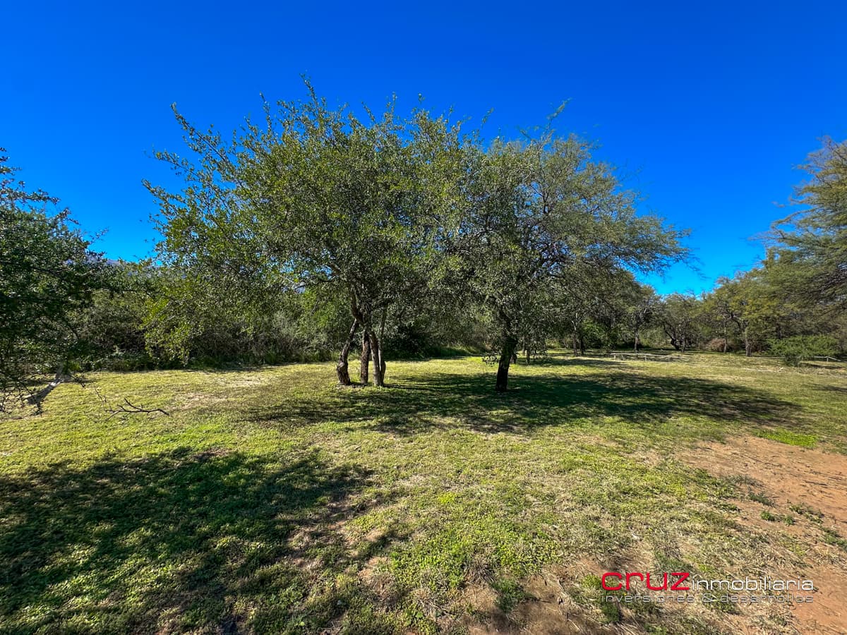 Lote de 1376m2 en Despertar del Valle, Villa de Merlo - imagen 11