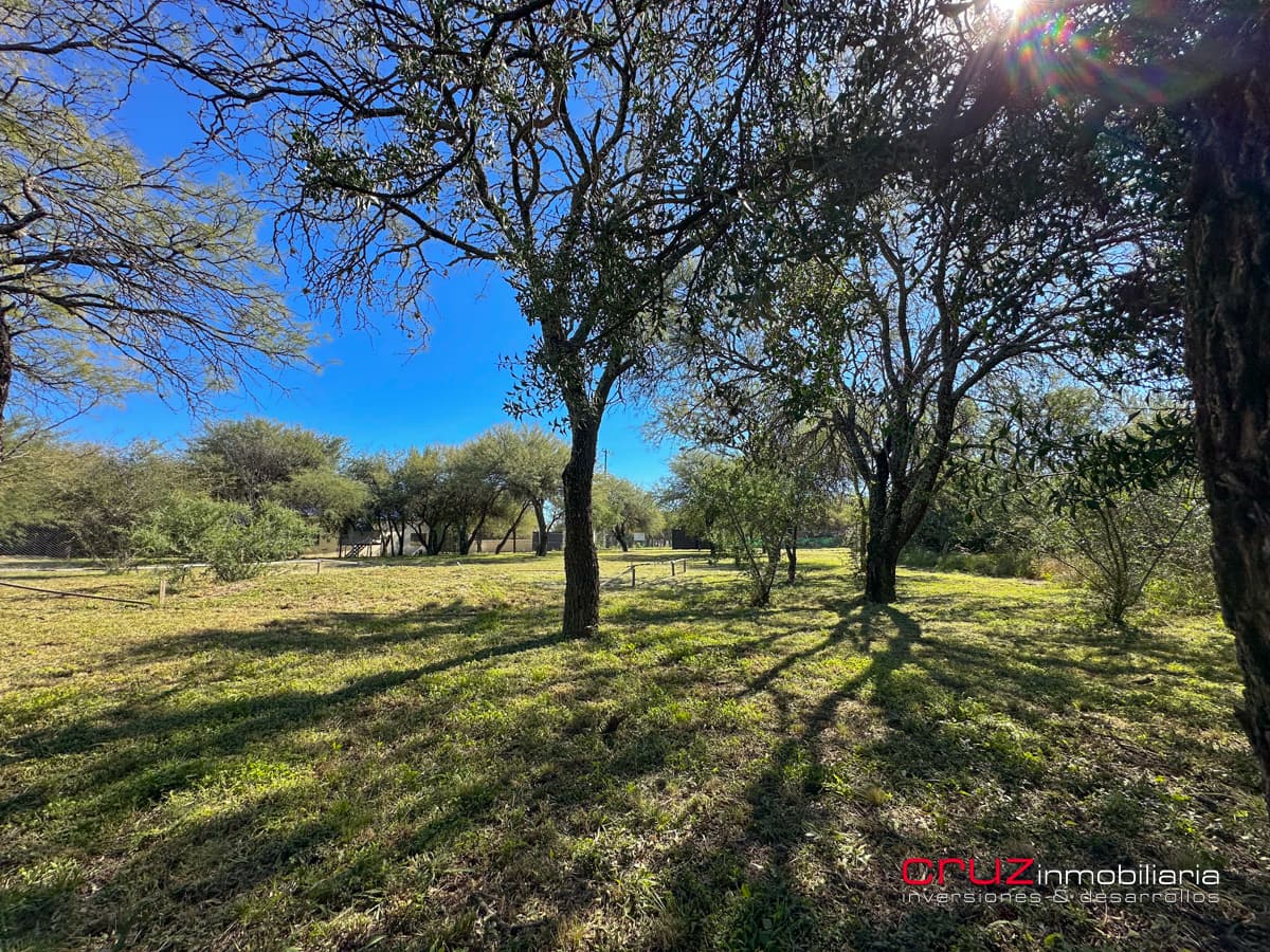 Lote de 1376m2 en Despertar del Valle, Villa de Merlo - imagen 23