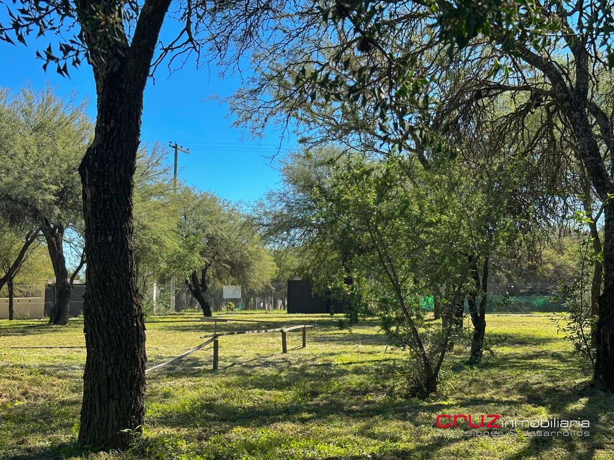 Lote de 1376m2 en Despertar del Valle, Villa de Merlo - imagen 15