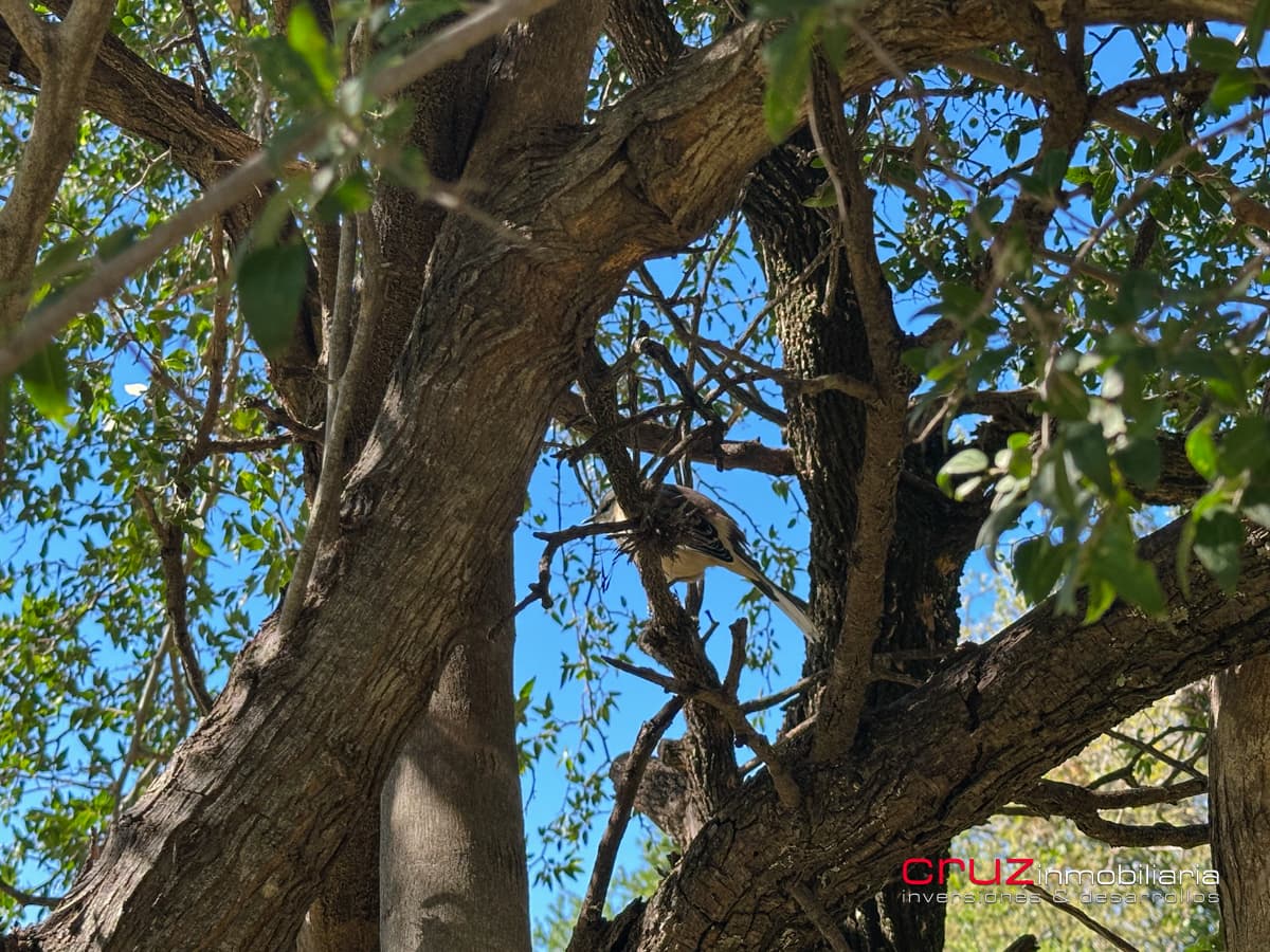 Lote de 1376m2 en Despertar del Valle, Villa de Merlo