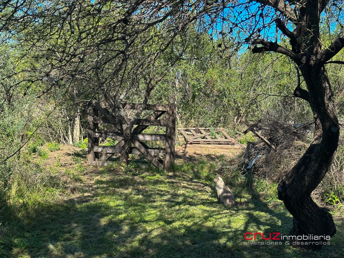 Lote de 1376m2 en Despertar del Valle, Villa de Merlo - imagen 17