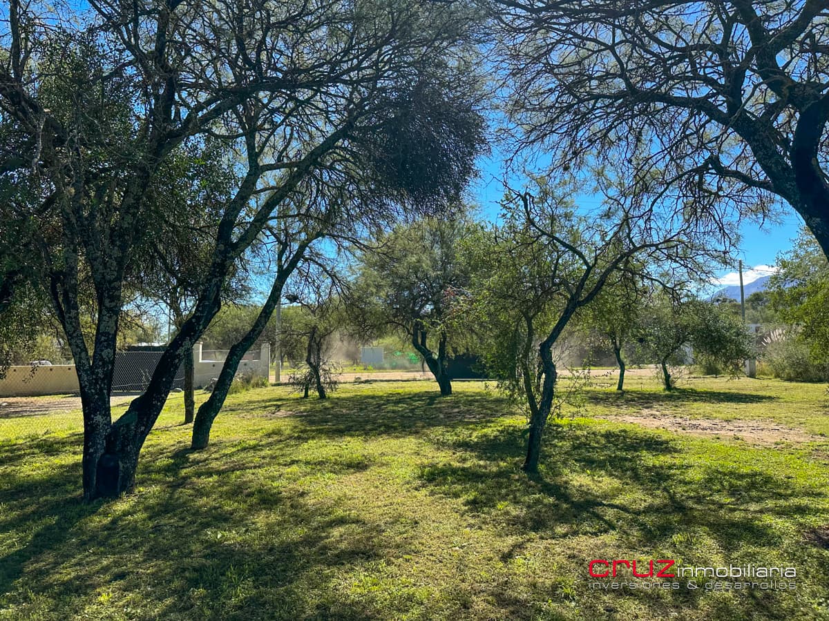 Lote de 1376m2 en Despertar del Valle, Villa de Merlo - imagen 20