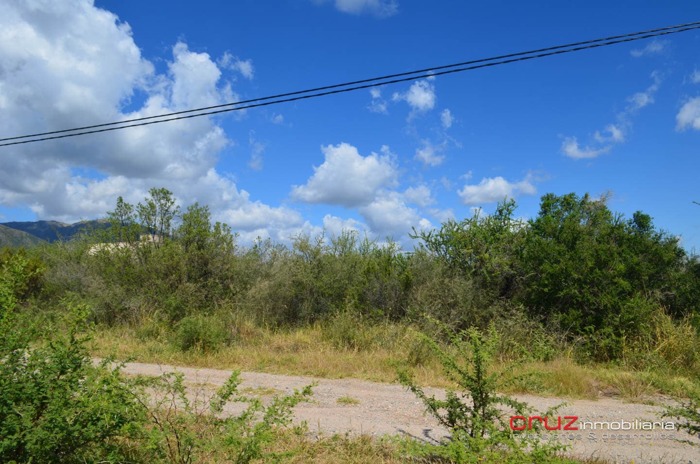Lotes de 1130m2 en Zona Alta de Carpinteria - imagen 3