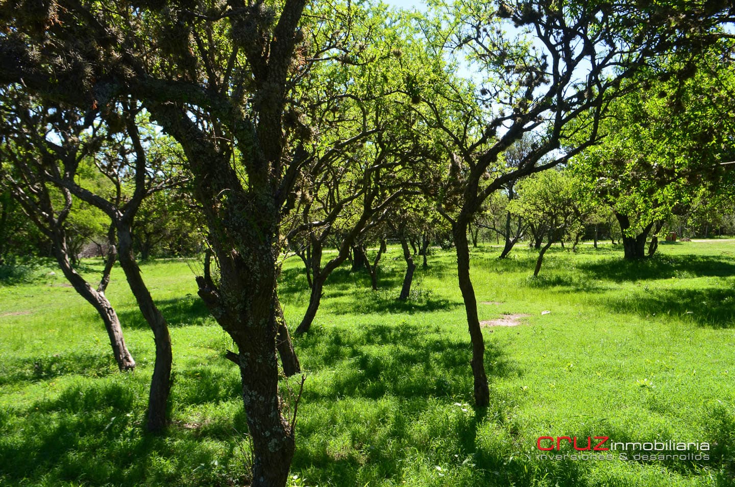 Lote Céntrico en Merlo 800m2 - imagen 11