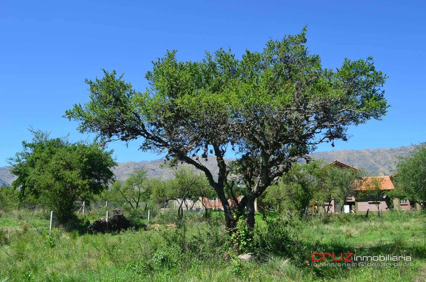 Lote de 1000m2 en Merlo – Solares - imagen 6