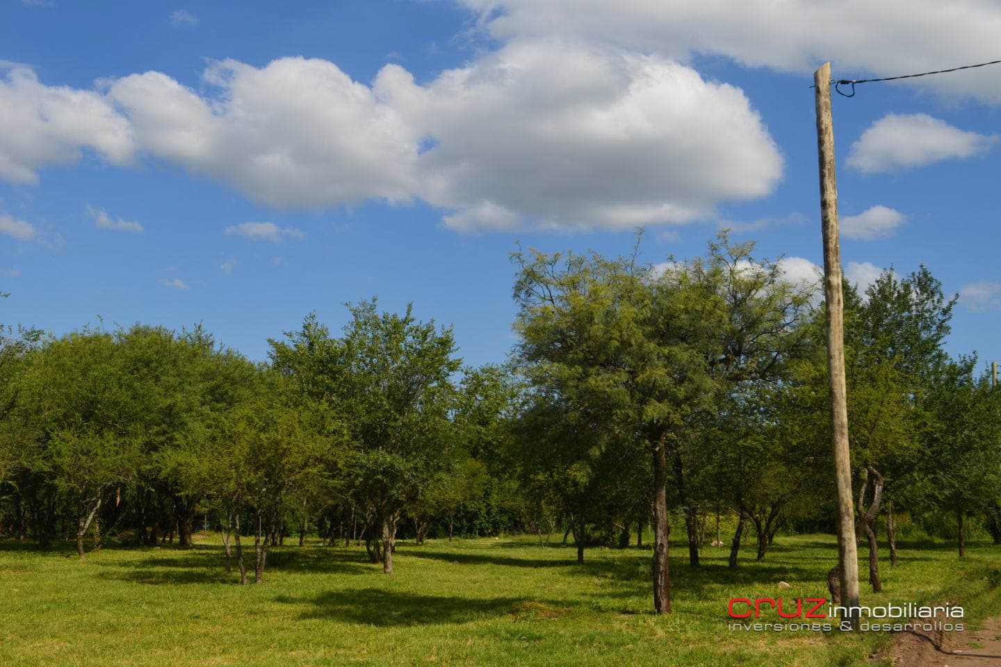 Lotes de 350m2 en Merlo - imagen 7