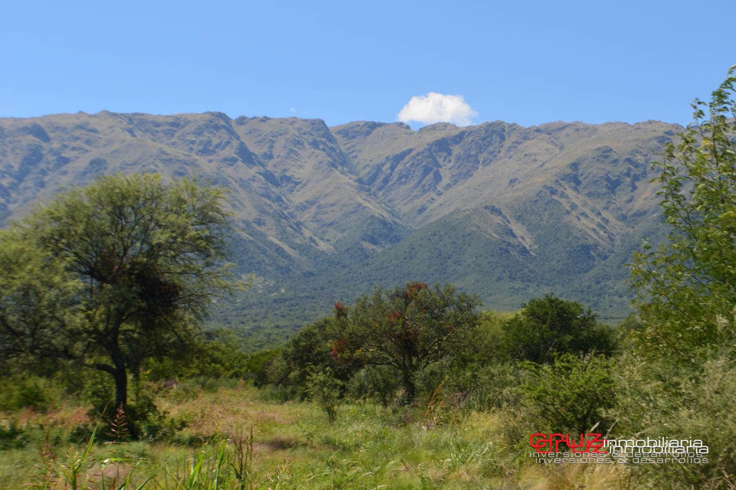 Lotes de 1048m2 en Zona alta de Carpinteria - imagen 7