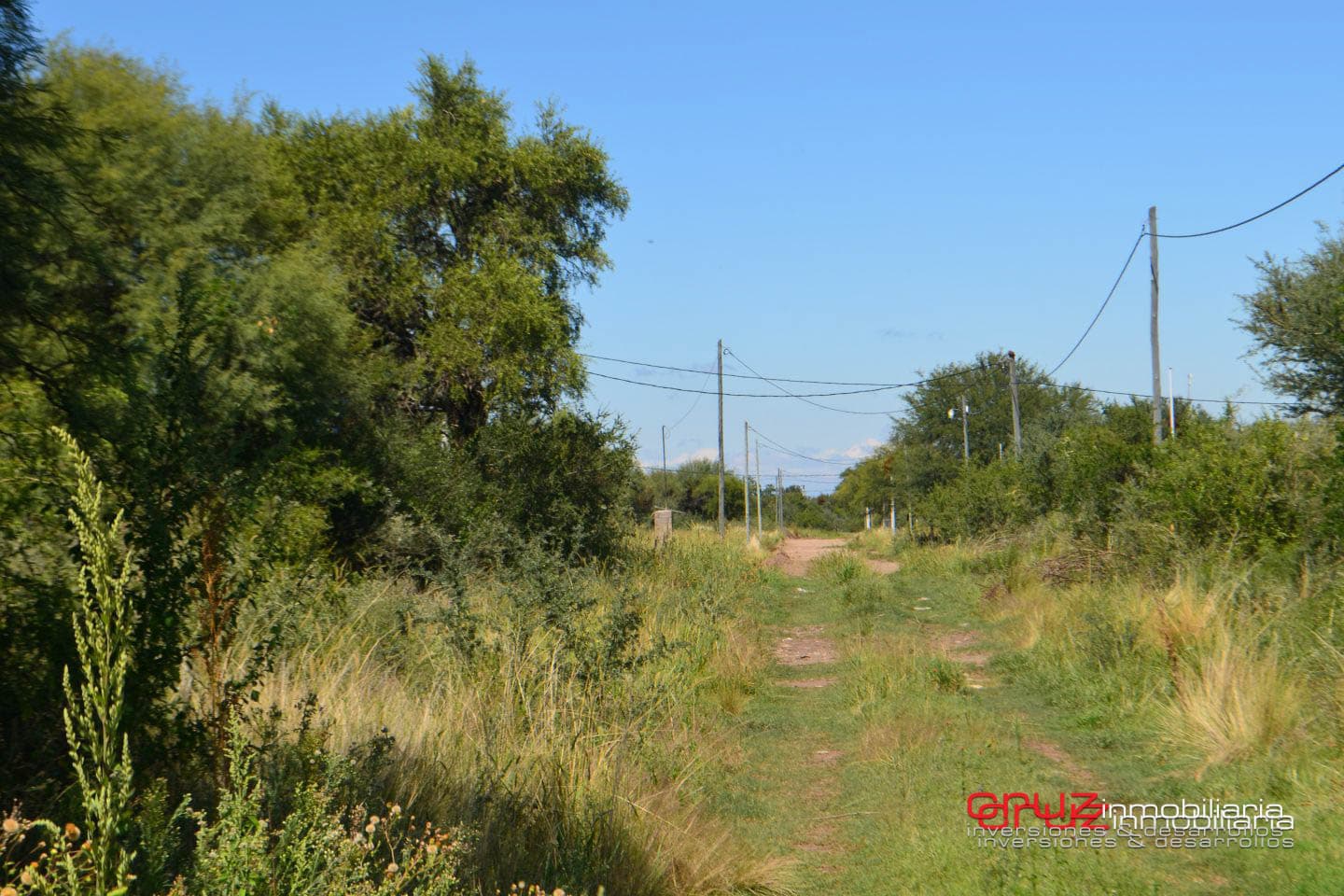 Lotes de 1048m2 en Zona alta de Carpinteria - imagen 14