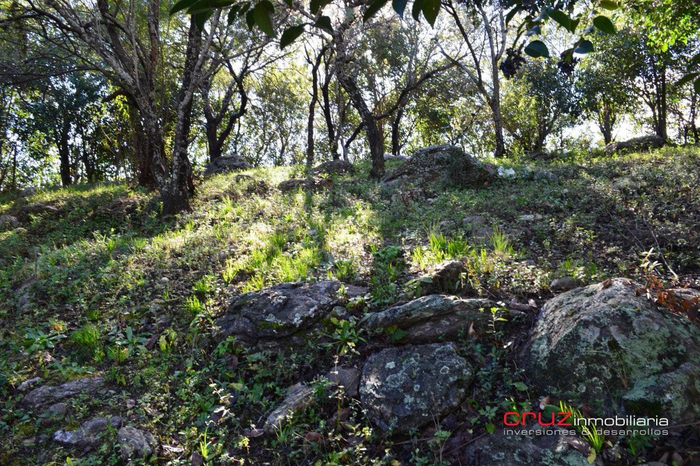 Lote de 790m2 en el Rincón del Este, Merlo - imagen 4